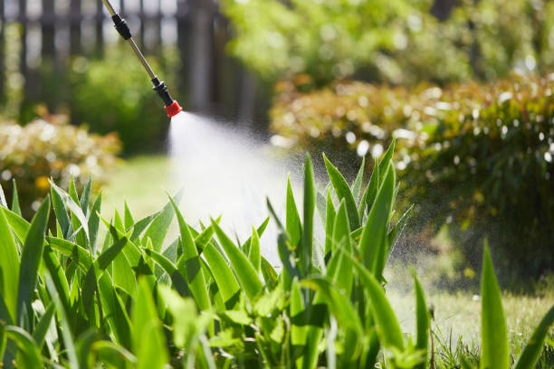 24/7 Emergency Mosquito Control experts in Walhalla, SC