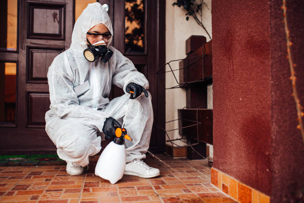 Reliable Mosquito Control contractor in Walhalla, SC by Show Me Pest Control